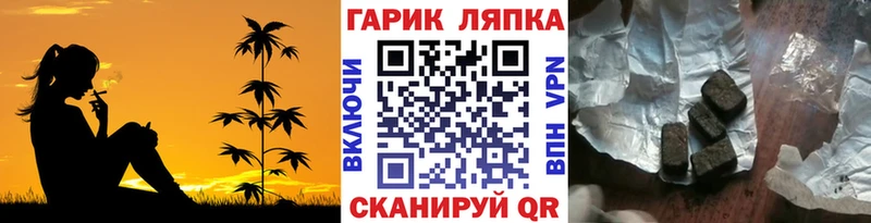 как найти закладки  darknet как зайти  ГАШ Cannabis  Тутаев 