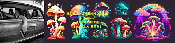 шишки Протвино