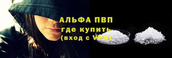 шишки Сковородино