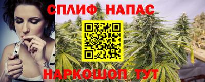 гашик Кинель