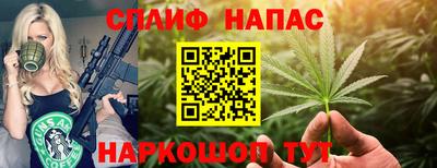 гашик Кинель