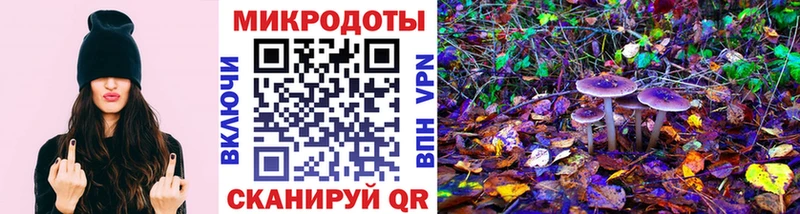 Псилоцибиновые грибы мухоморы  Тутаев 