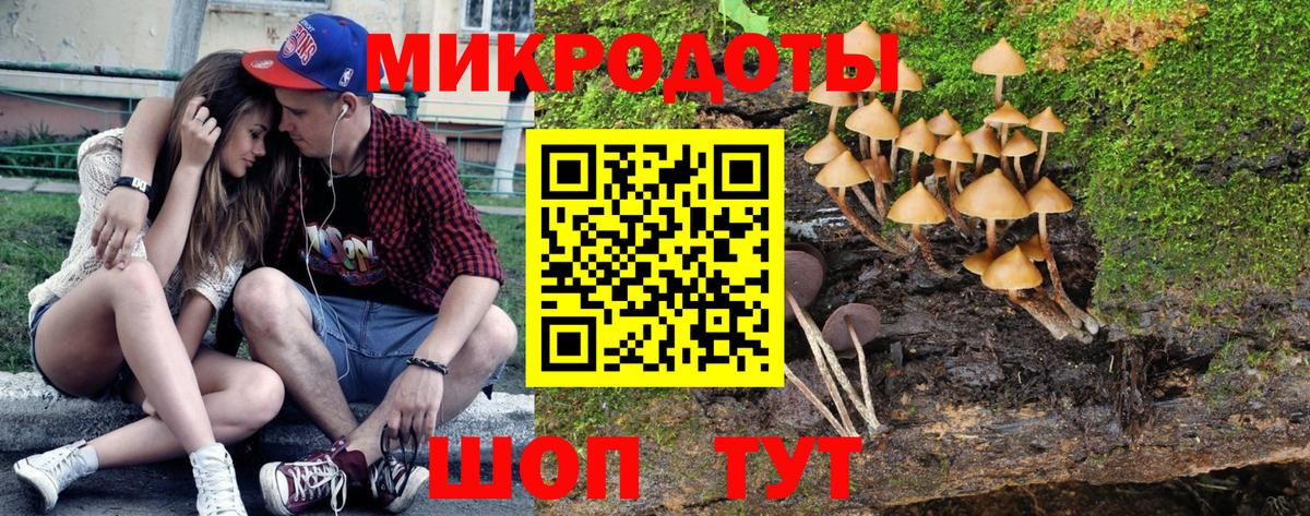 Псилоцибиновые грибы Magic Shrooms  Псилоцибиновые грибы Magic Shrooms  Тутаев  купить   Вход с VPN 